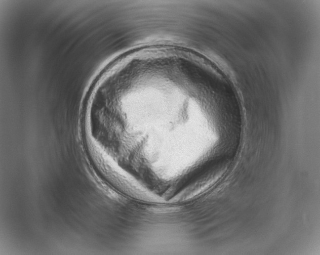 X0000058791296200510171310