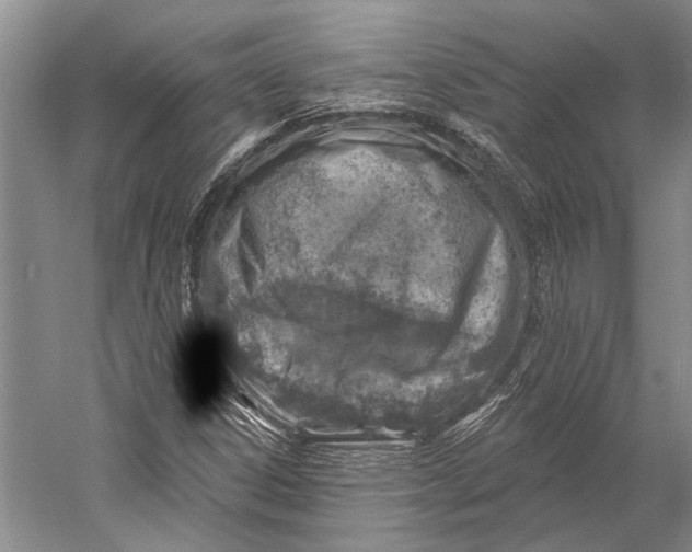 X0000058791306200510171309