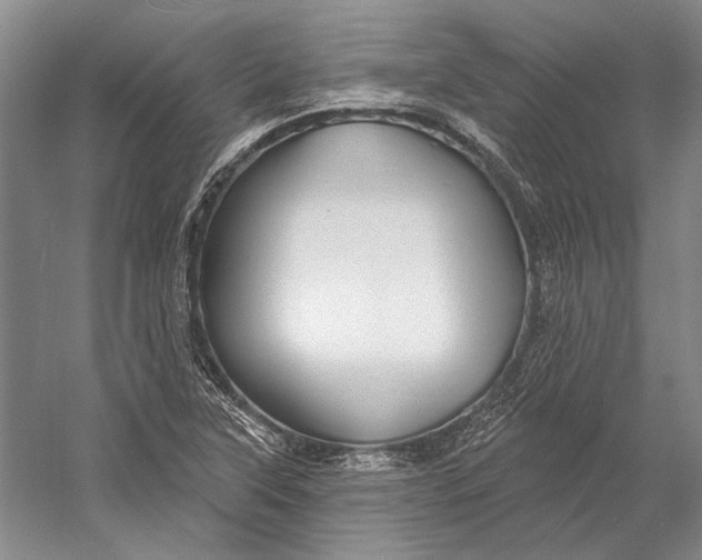 X0000058791315200510171309