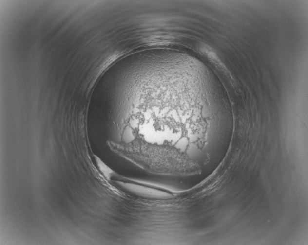 X0000058791329200510171309