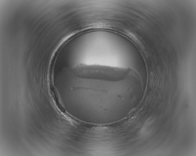 X0000058791331200510171309