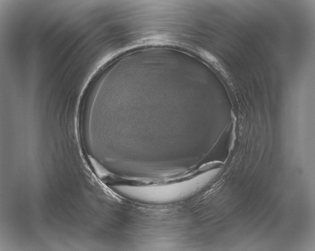 X0000058791334200510171310