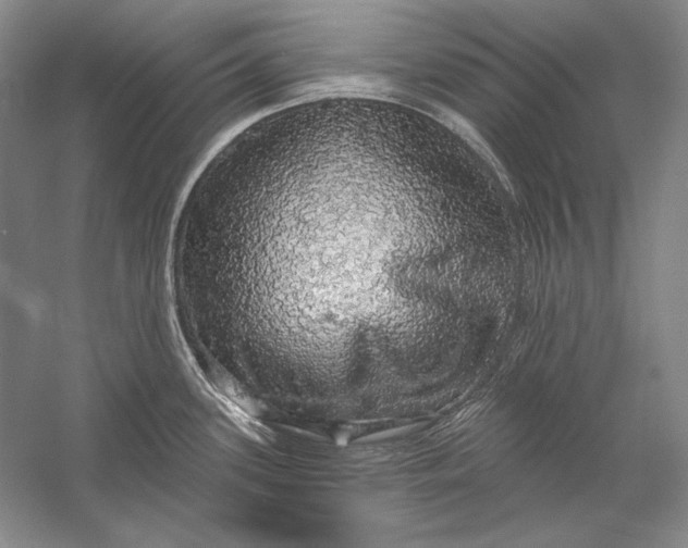 X0000058791339200510171310
