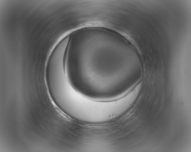 X0000058791342200510171310