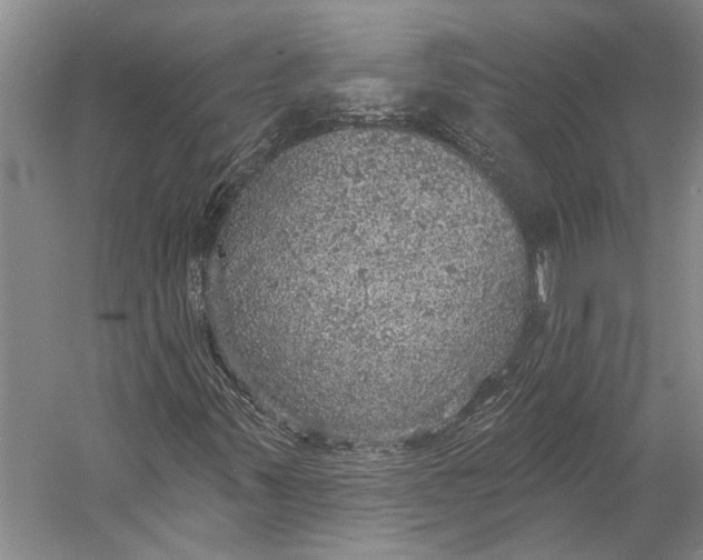 X0000058791347200510171309