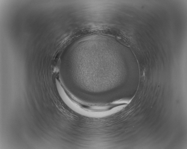 X0000058791348200510171309