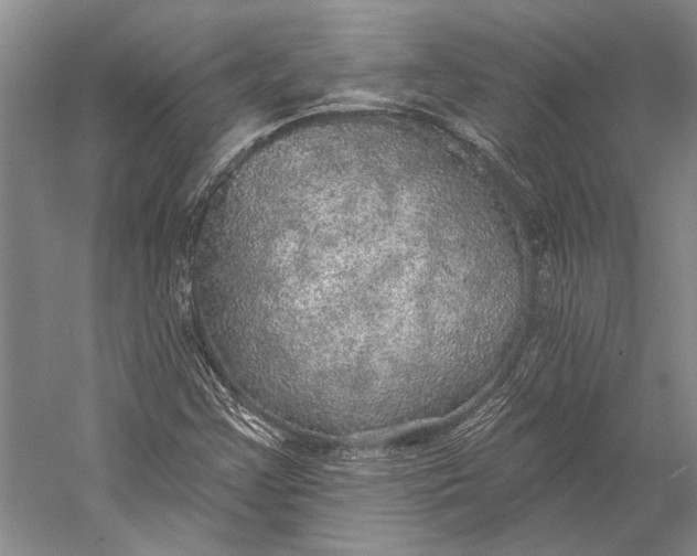 X0000058791355200510171309