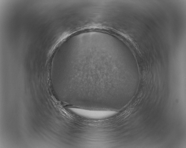 X0000058791359200510171309