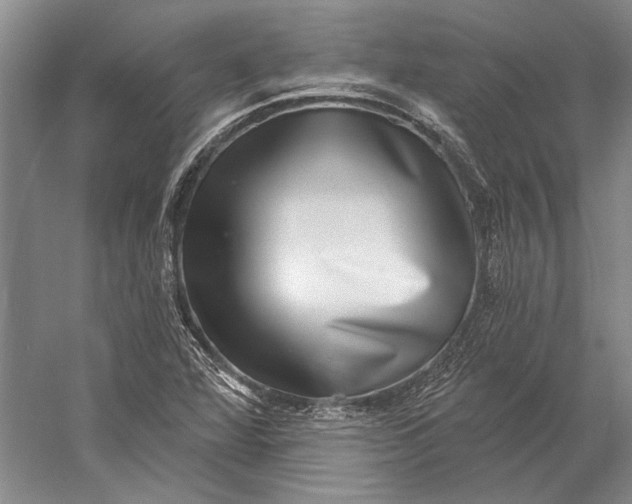 X0000058791360200510171309