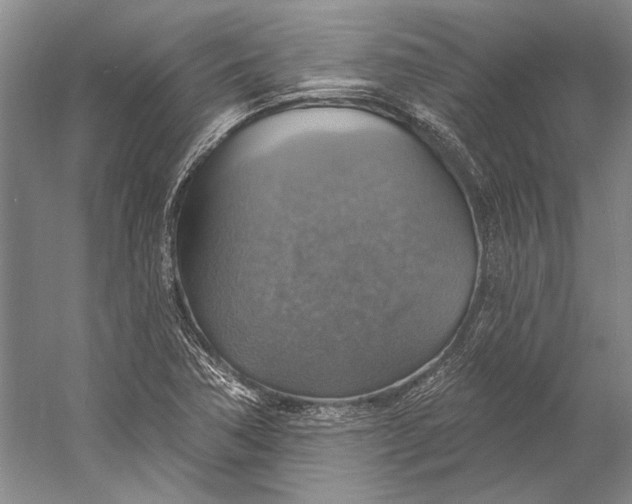 X0000058791362200510171309