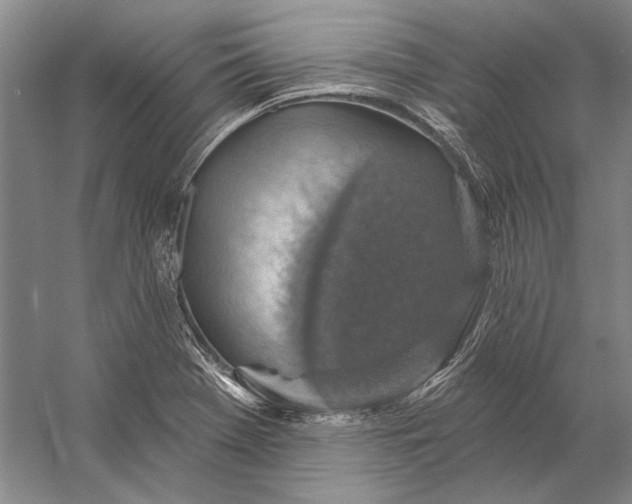 X0000058791369200510171308