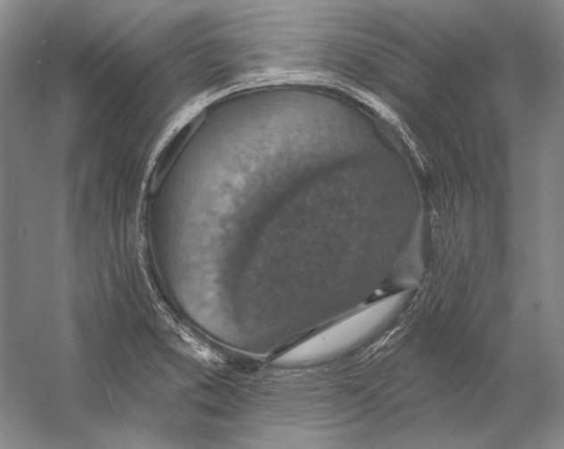 X0000058791373200510171308