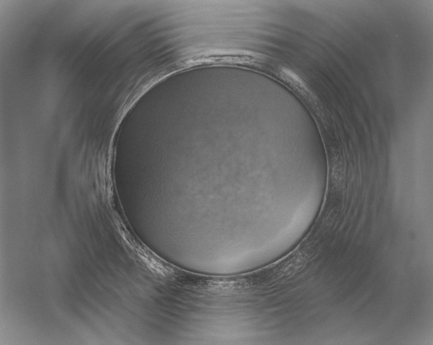 X0000058791378200510171308