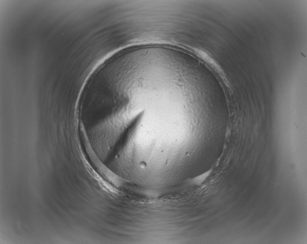 X0000058791380200510171308