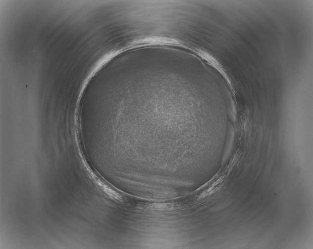 X0000058791381200510171308
