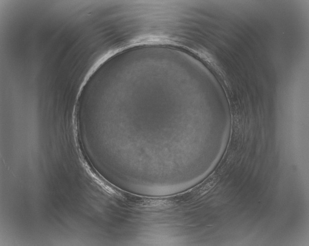 X0000058791382200510171308
