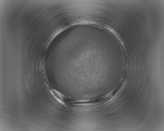 X0000058791385200510171308