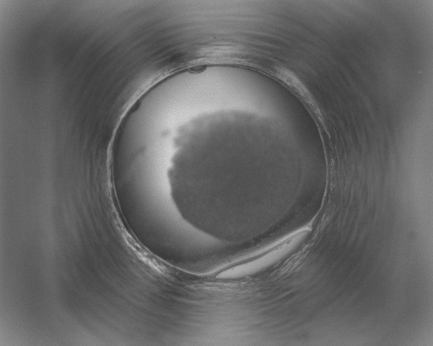 X0000058791386200510171308