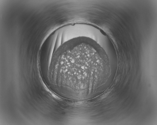 X0000058791390200510171308