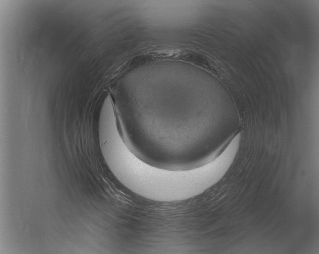 X0000058791394200510171307