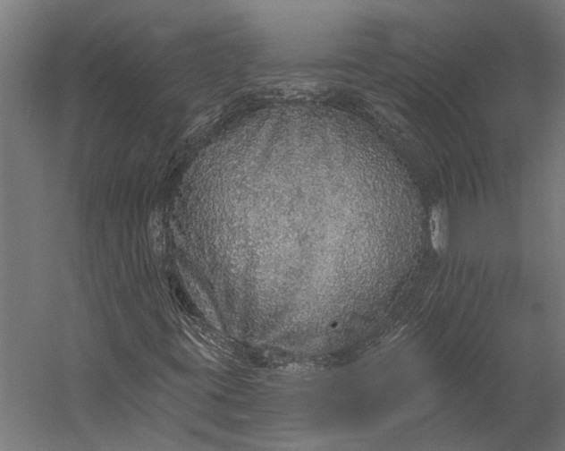 X0000058791395200510171307
