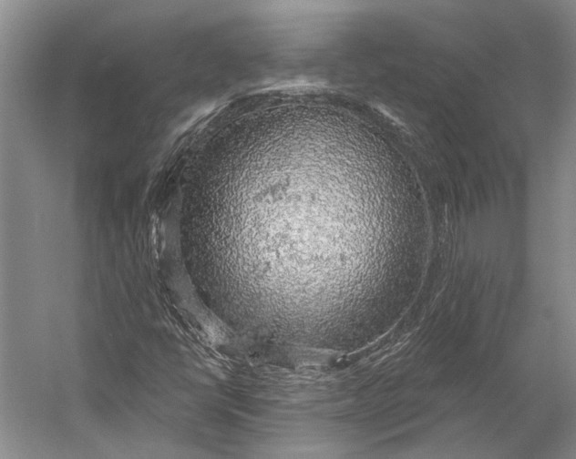 X0000058791398200510171307
