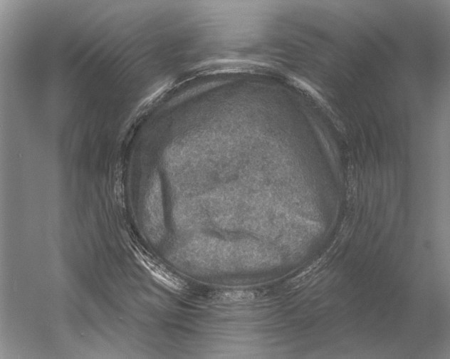 X0000058791403200510171307