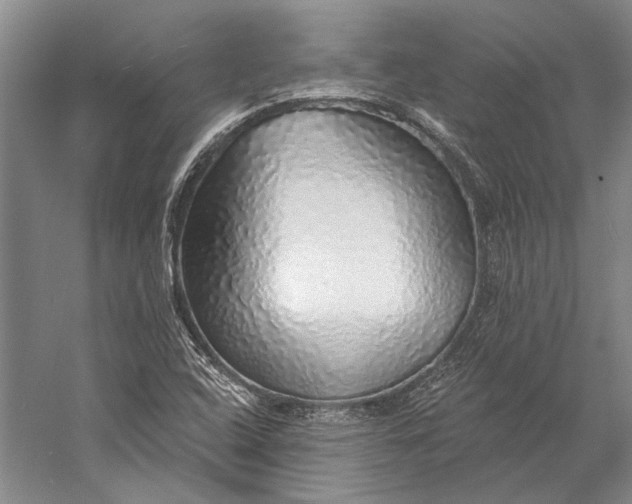 X0000058791408200510171307
