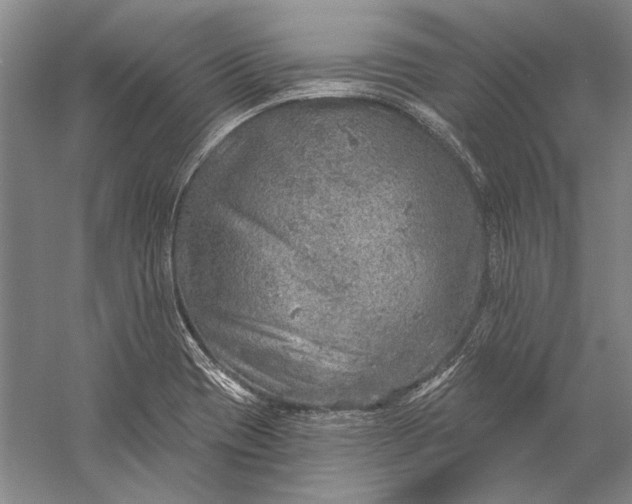 X0000058791417200510171308