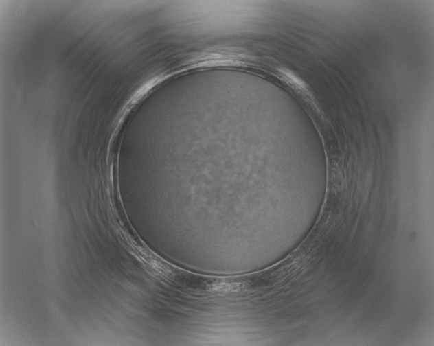 X0000058791419200510171308