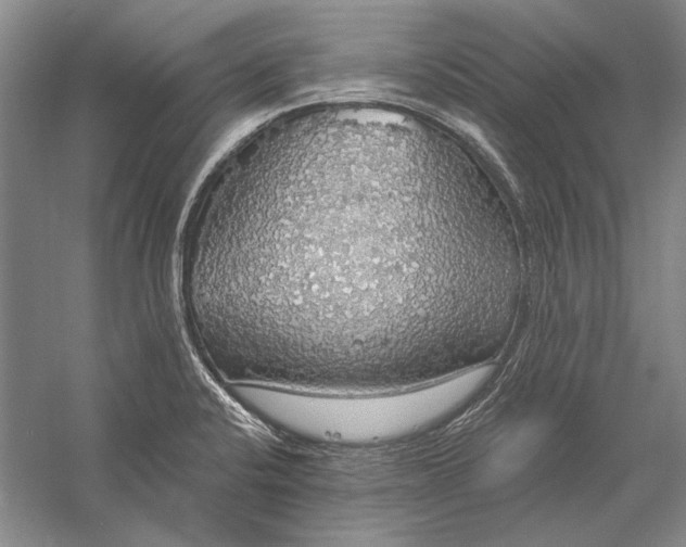 X0000058791424200510171308