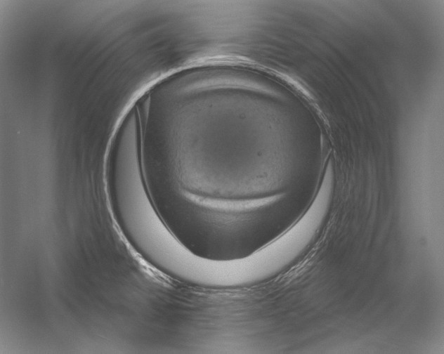 X0000058791430200510171308