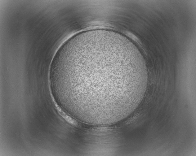 X0000058791431200510171308