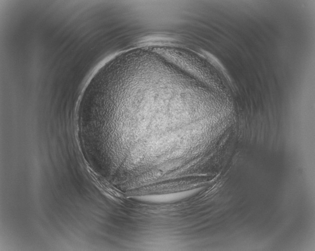X0000058791435200510171308