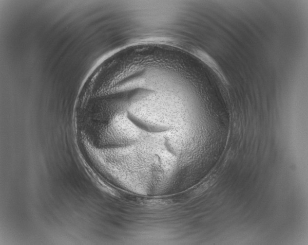 X0000058791436200510171308