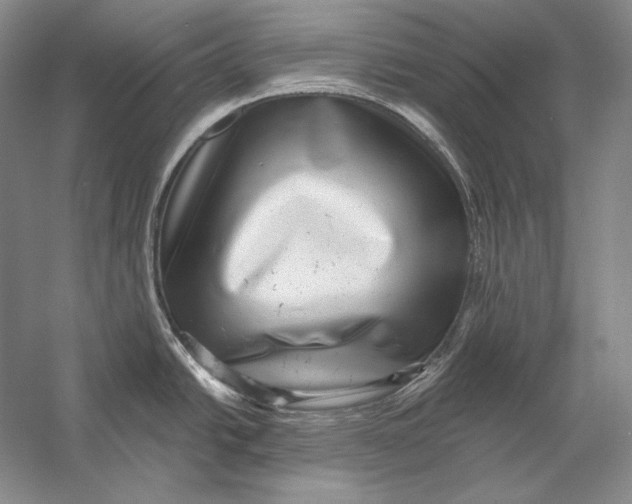 X0000058791438200510171308