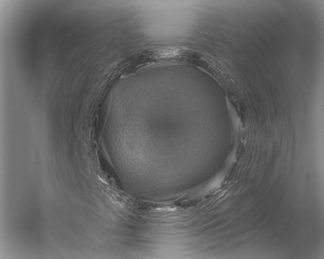 X0000058791441200510171307