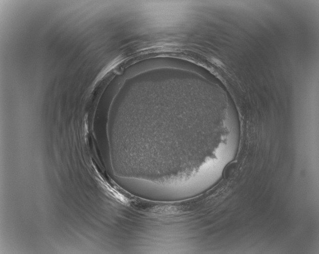 X0000058791450200510171307