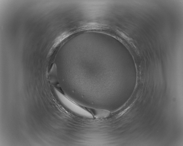 X0000058791453200510171307