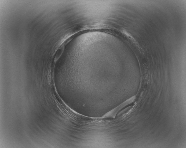 X0000058791457200510171307