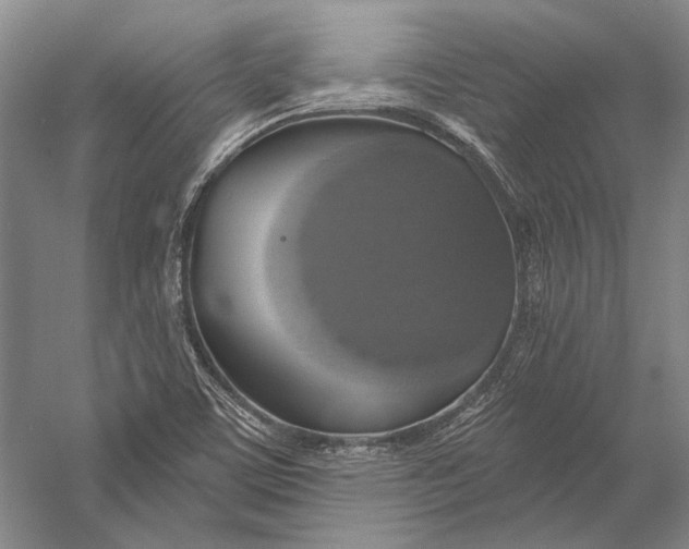 X0000058791459200510171307