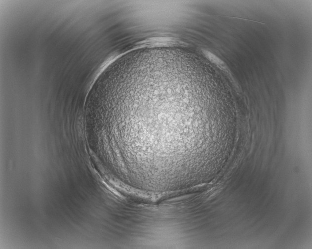 X0000058791473200510171307