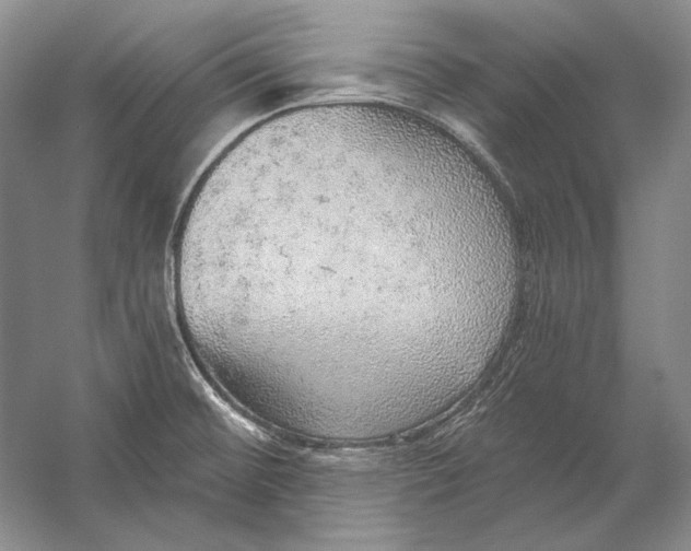 X0000058791476200510171307