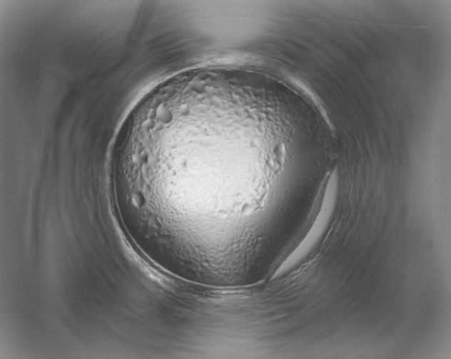 X0000058791483200510171306