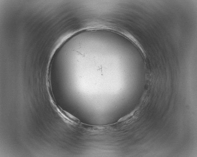 X0000058791485200510171306