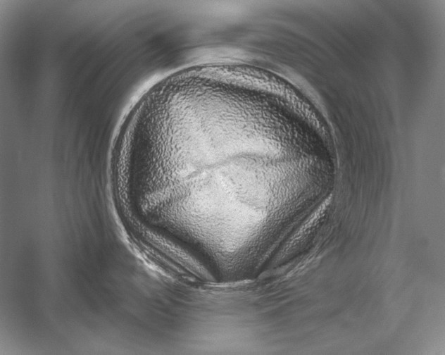 X0000058791488200510171306
