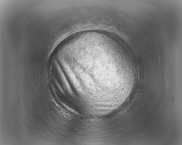 X0000058791501200510171306