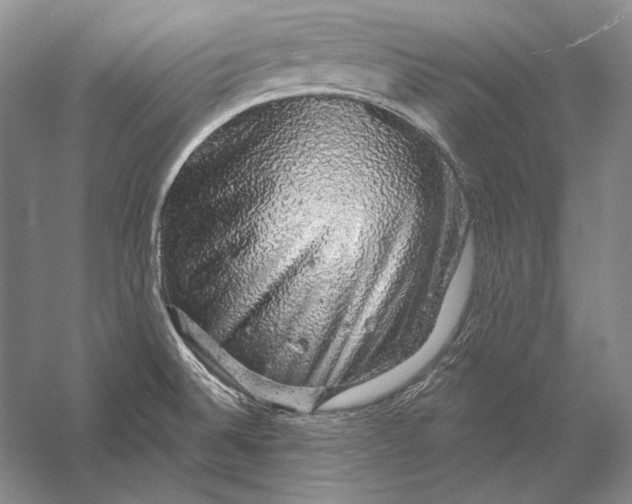 X0000058791524200510171306