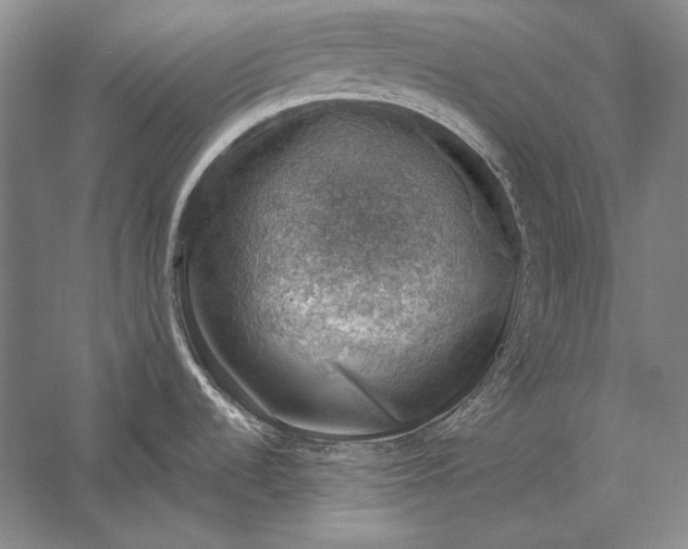 X0000058791536200510171306