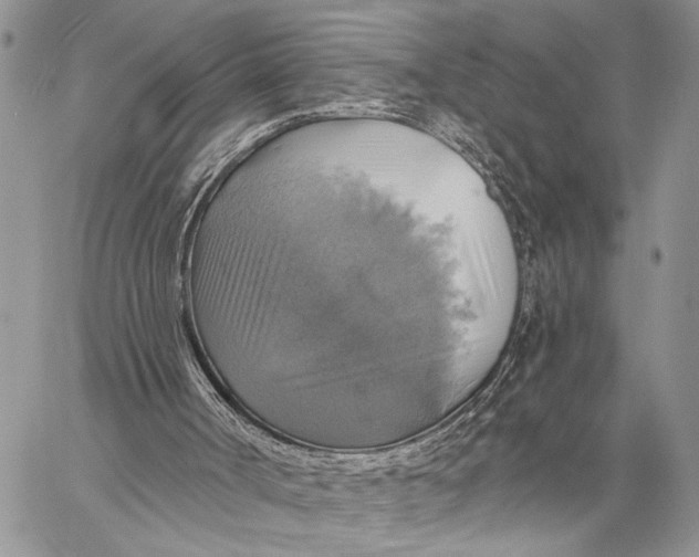 X0000058790002200510211825